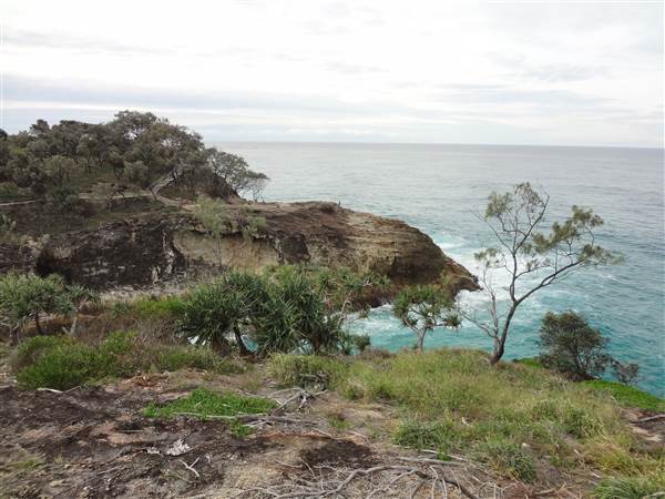Gorge Walk, Point Lookout (3/02/2014)
