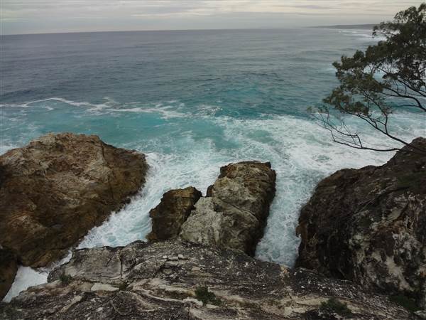 Gorge Walk, Point Lookout (3/02/2014)