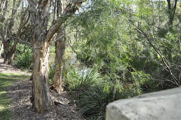 Coochiemudlo Island (3/02/2014)