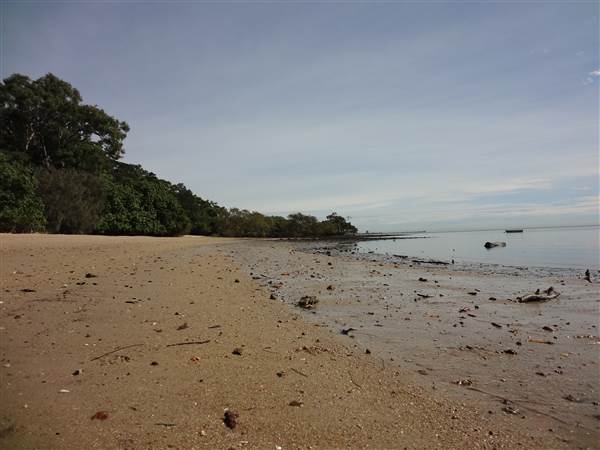 Coochiemudlo Island (4/02/2014)