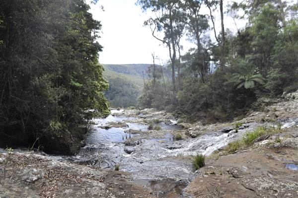 Purling Brook Falls - Springbrook National Park (6/02/2014)