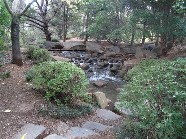 Japanese Garden - University of Southern Queensland (7/05/2014)