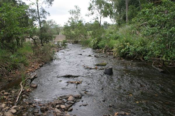Coomera River (Upper) (21/05/2014 - Credits: Duncan Jones)