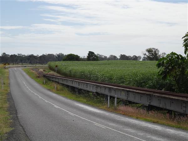 Roadside Cane Train Track (28/05/2014 - Credits: Angus Ledgerwood)