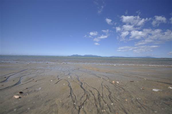 Kings Beach (Bowen) (23/07/2014 - Credits: Angus Ledgerwood)