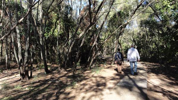 Tarrabora Reserve (28/07/2014 - Credits: Tony Brown)
