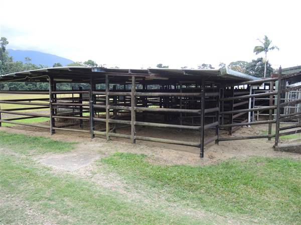 Mossman Showgrounds (21/08/2014)
