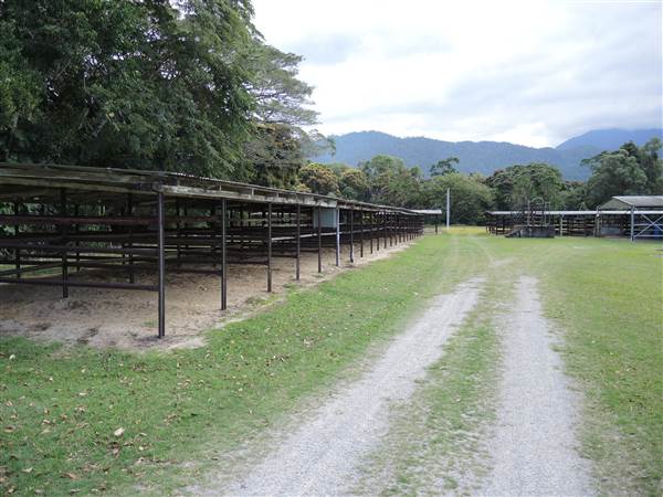 Mossman Showgrounds (21/08/2014)