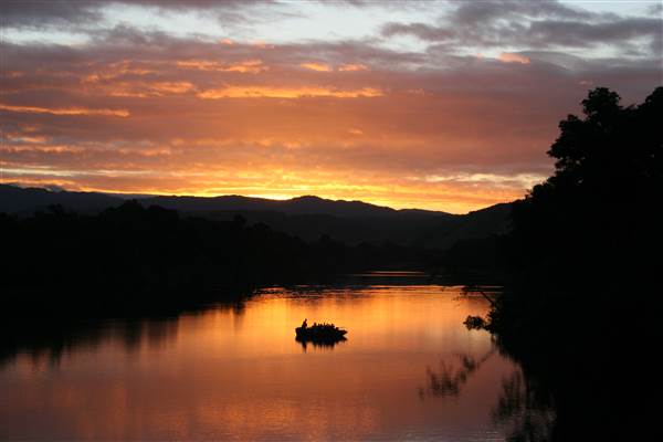 Daintree River (25/08/2014)