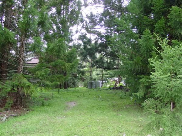 The Backlot, Bonogin - Overview (14/02/2005)