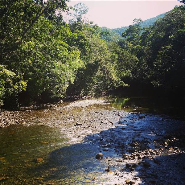 Spring Creek - near Port Douglas (3/10/2014)