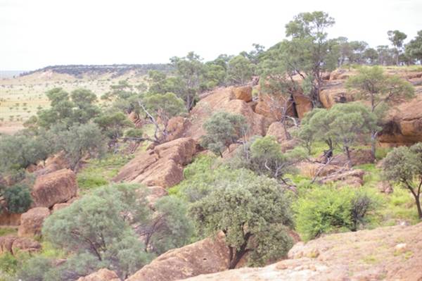 Winton Desert - General (18/11/2013)