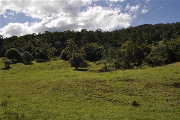 Natural Bridge - Springbrook National Park (30/04/2015 - Credits: Angus Ledgerwood)