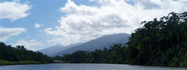 Mulgrave River (Cairns Region) (25/06/2015)
