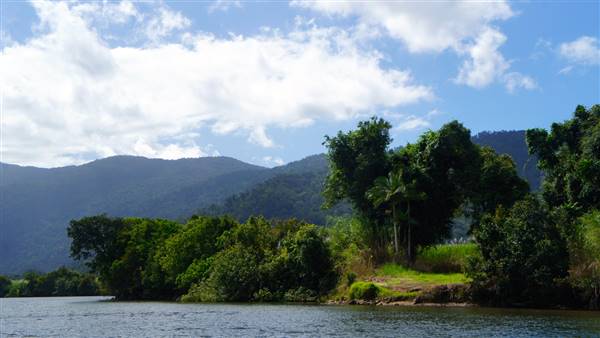 Mulgrave River (Cairns Region) (25/06/2015)