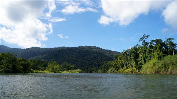 Mulgrave River (Cairns Region) (25/06/2015)
