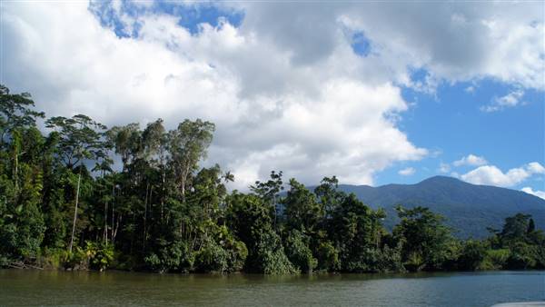 Mulgrave River (Cairns Region) (25/06/2015)