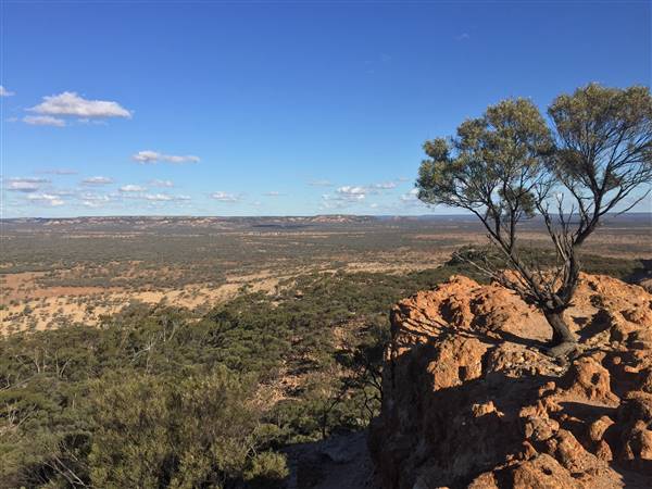 Longreach - Mount Slowcombe (22/07/2015 - Credits: Neil McGregor)