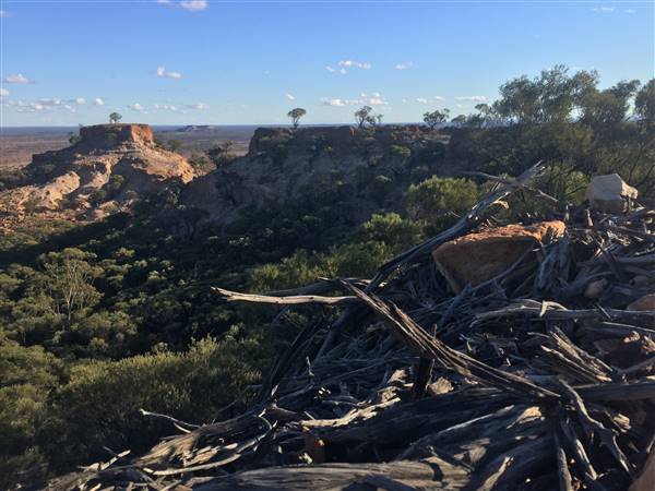 Longreach - Mount Slowcombe (22/07/2015 - Credits: Neil McGregor)