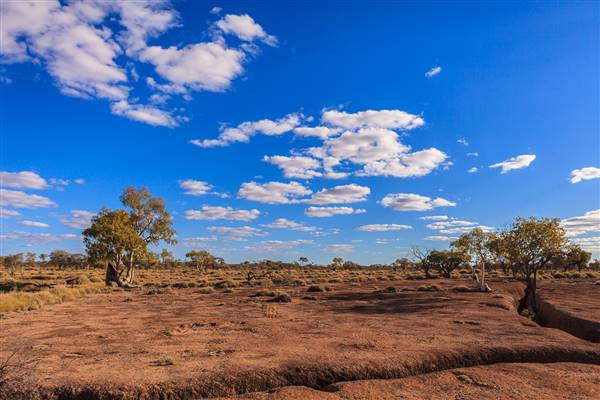 Age Of Dinosaurs (Rangelands) (22/07/2015)