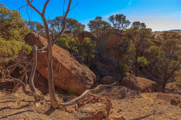 Rangelands Station (23/07/2015 - Credits: Neil McGregor)
