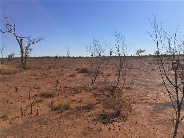 Winton-Jundah Road (24/07/2015 - Credits: Neil McGregor)