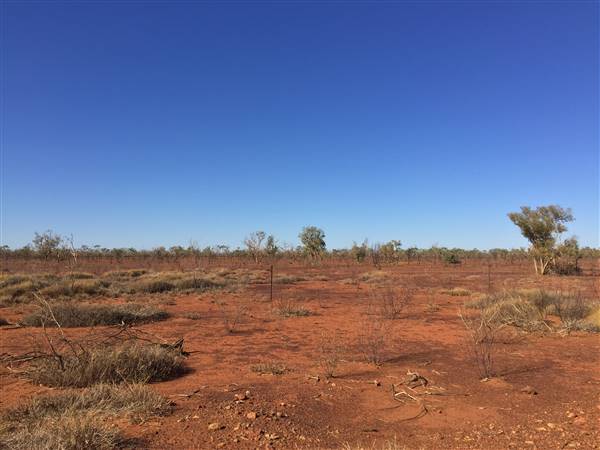 Winton-Jundah Road (24/07/2015 - Credits: Neil McGregor)