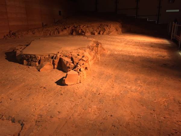 Lark Quarry Dinosaur Trackways (24/07/2015 - Credits: Neil McGregor)