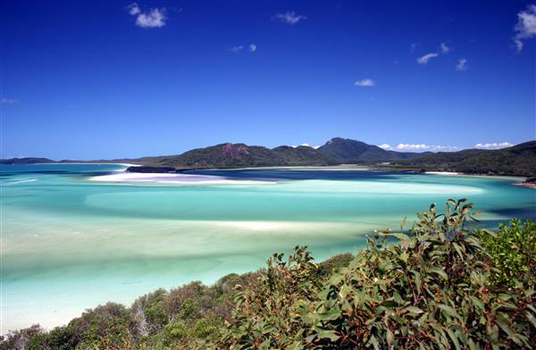Whitehaven River (Whitsunday Island) (16/11/2015)