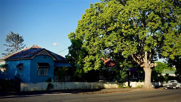 Tree-Lined Street (20/03/2017)
