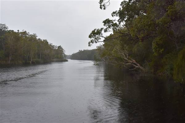 Harrys Hut Area (Noosa Everglades) (7/07/2017 - Credits: Kathryn Metcalfe)