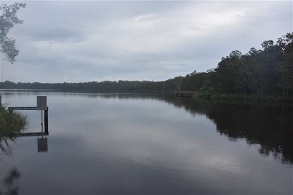 Fig Tree Point (Noosa Everglades) (13/07/2017 - Credits: Kathryn Metcalfe)