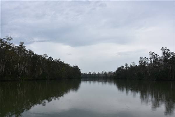 Johns Landing (Noosa Everglades) (13/07/2017 - Credits: Kathryn Metcalfe)