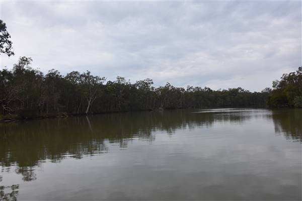 Johns Landing (Noosa Everglades) (13/07/2017 - Credits: Kathryn Metcalfe)