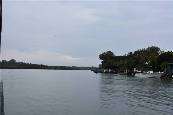 Noosa Everglades - Tewantin Docks (13/07/2017 - Credits: Kathryn Metcalfe)