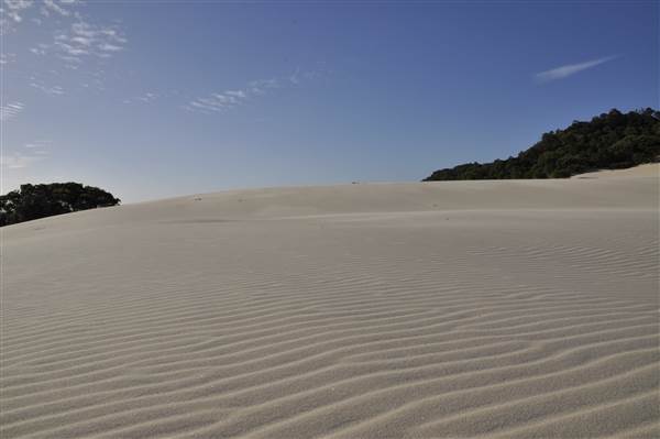 Mulgumpin (Moreton Island) - Big Sand Hills (11/04/2015 - Credits: Angus Ledgerwood)