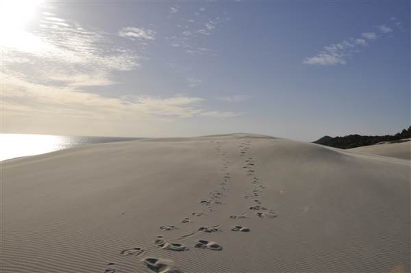 Mulgumpin (Moreton Island) - Big Sand Hills (11/04/2015 - Credits: Angus Ledgerwood)