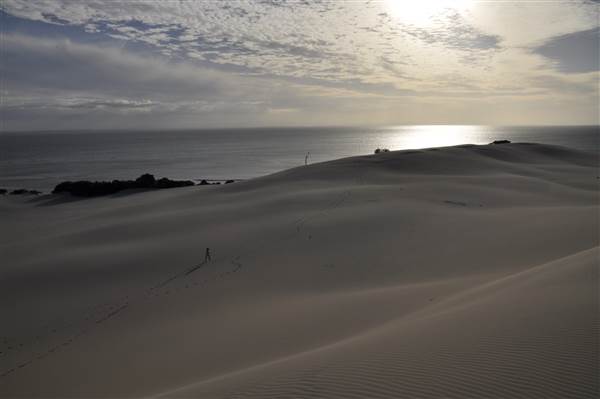 Mulgumpin (Moreton Island) - Big Sand Hills (11/04/2015 - Credits: Angus Ledgerwood)