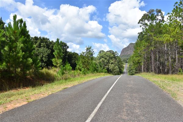Marshs Road - Mt Tibrogargan (b/g) (15/03/2019 - Credits: Kathryn Metcalfe)