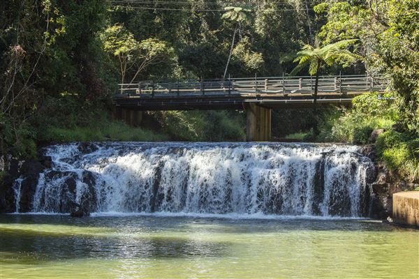Malanda (1/11/2019 - Credits: Tablelands Regional Council)