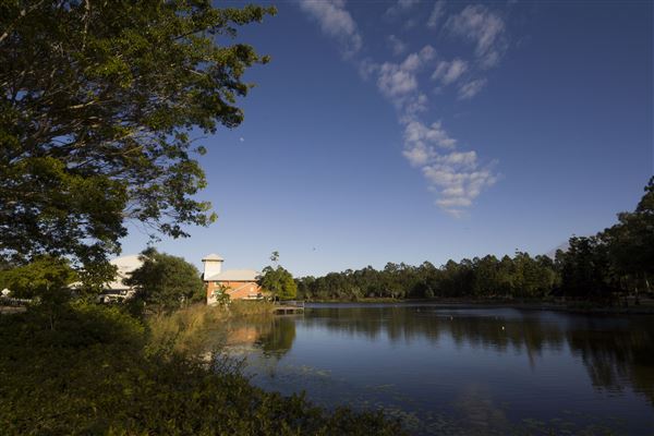 Spring Lake Park (11/05/2020 - Credits: Ipswich City Council)