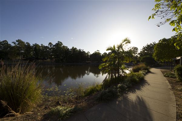 Spring Lake Park (11/05/2020 - Credits: Ipswich City Council)