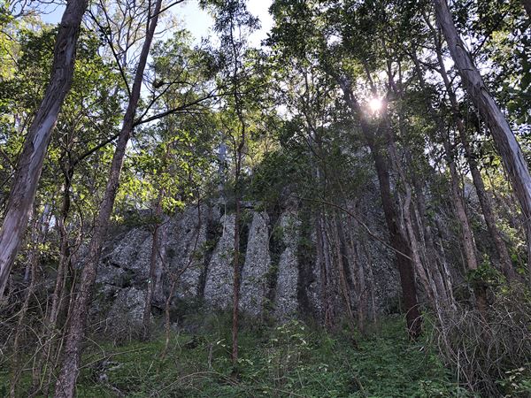 Ivory's Rock Conventions and Events - Overview (1/08/2018)