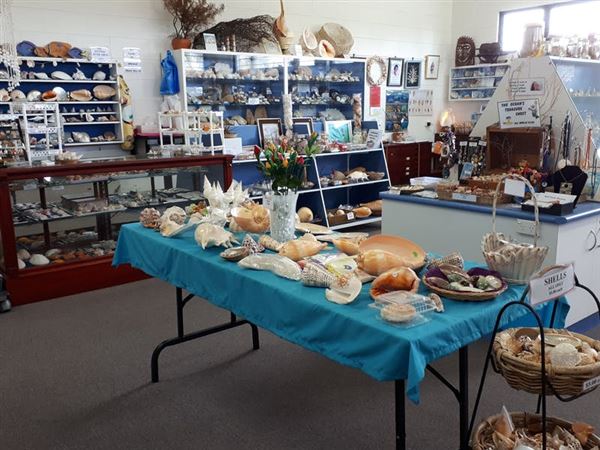 Shell World Yeppoon - Museum (12/06/2019 - Credits: Capricorn Enterprise)