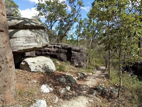Karawatha Forest Park - Overview - Image Sourced - Do Not Make Public (10/12/2020)