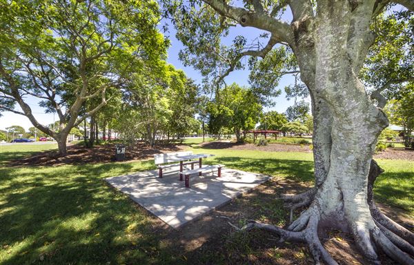 Browns Park (4/01/2021 - Credits: Ipswich City Council)