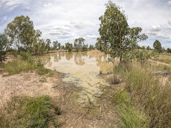 Willowbank MX (8/03/2021 - Credits: Ipswich City Council)