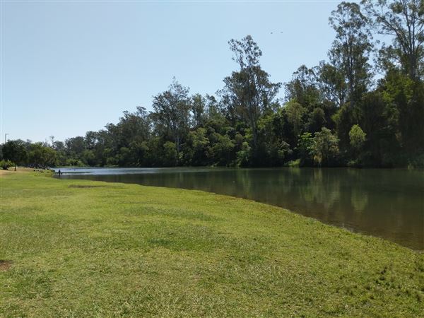 Parkland on the River - Colleges Crossing Recreation Reserve (20/09/2021 - Credits: Kathryn Metcalfe)