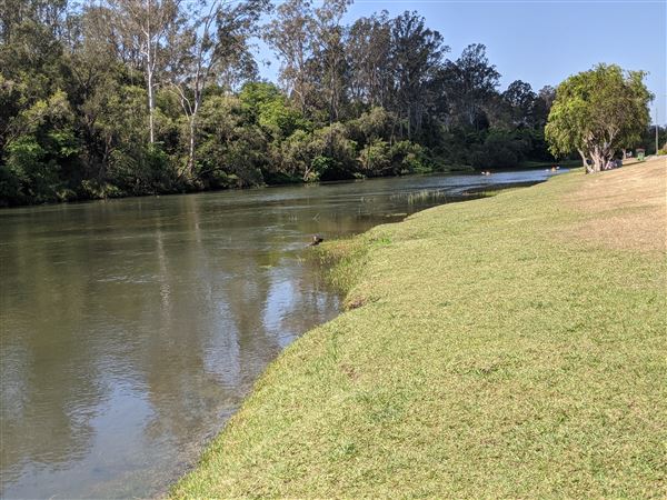 Parkland on the River - Colleges Crossing Recreation Reserve (20/09/2021 - Credits: Kathryn Metcalfe)