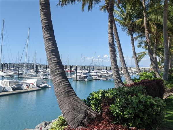 Mackay Harbour (27/10/2021 - Credits: Kathryn Metcalfe)